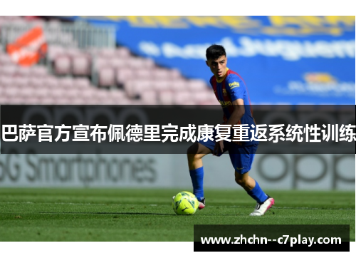 巴萨官方宣布佩德里完成康复重返系统性训练 巴萨官方宣布佩德里完成康复重返系统性训练