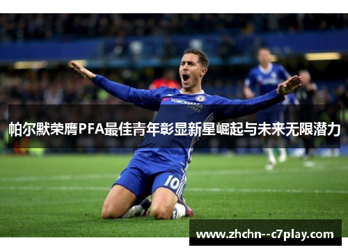 帕尔默荣膺PFA最佳青年彰显新星崛起与未来无限潜力