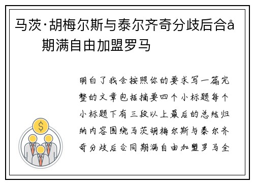 马茨·胡梅尔斯与泰尔齐奇分歧后合同期满自由加盟罗马